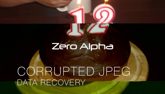 corrupted jpeg example. image looks damaged and broken into blocks